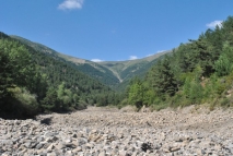 Cauce seco río Ijuez