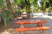 Zona de picnic en los jardines de Terramar